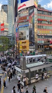 02a64260 0ab2 4937 b798 0690ff4d669f